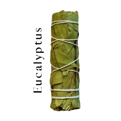 Eucalyptus Bliss Pure Herb 4"
