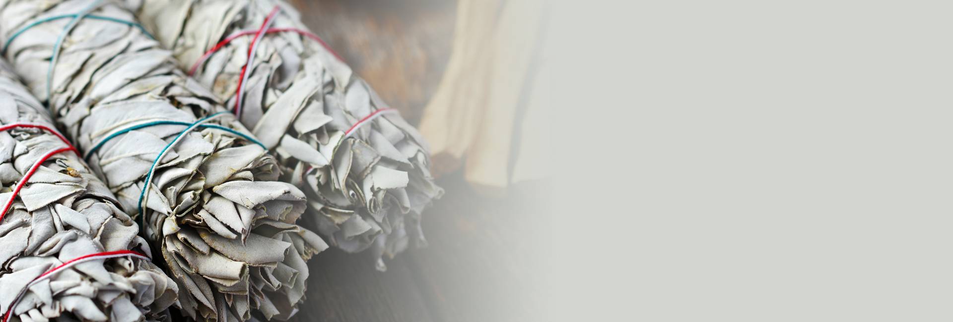 banner1