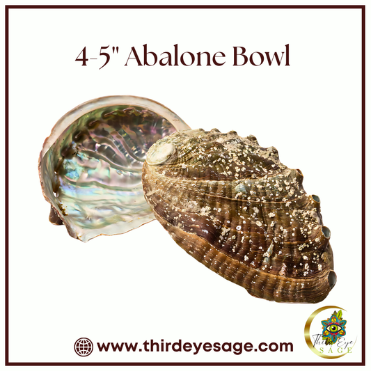 The Perfect 4-5" Abalone Bowl for Your Smudging Rituals