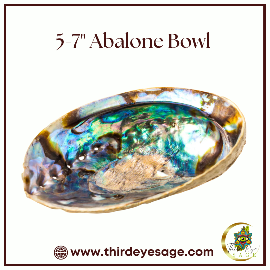 The Versatile Elegance of Our 5-7” Abalone Smudge Bowl