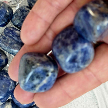 Sodalite Tumbled Crystal Healing Stones1