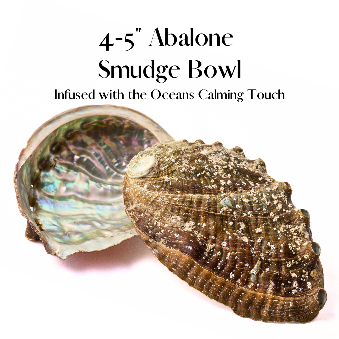 ✨ Abalone Smudge Bowl - Med 4-5 Inch - for Incense, Crystals, Trinkets, and Keys! 🐚🌿✨