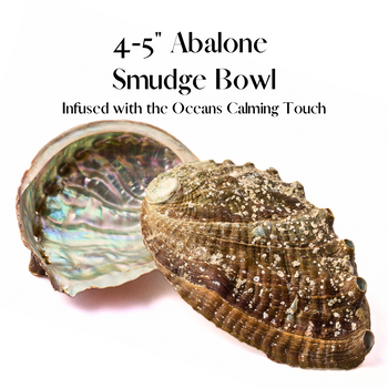 Abalone4_5