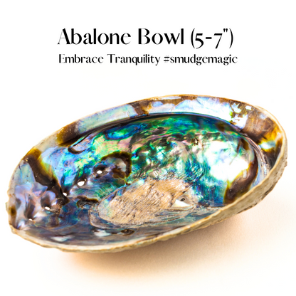 ✨Abalone Smudge Bowl - Large 5-7 Inch - for Incense, Crystals, Trinkets, and Keys!  🐚🌿✨