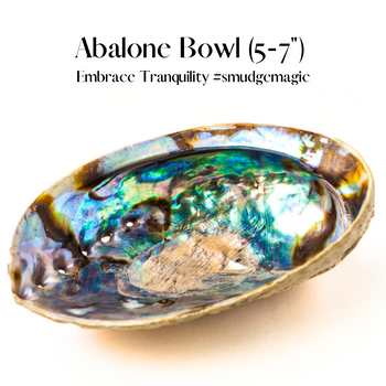 🐚✨Abalone Smudge Bowl (Large 5–7 Inch) – Sacred, Stylish, and Spiritually Powerful 🌿🌊