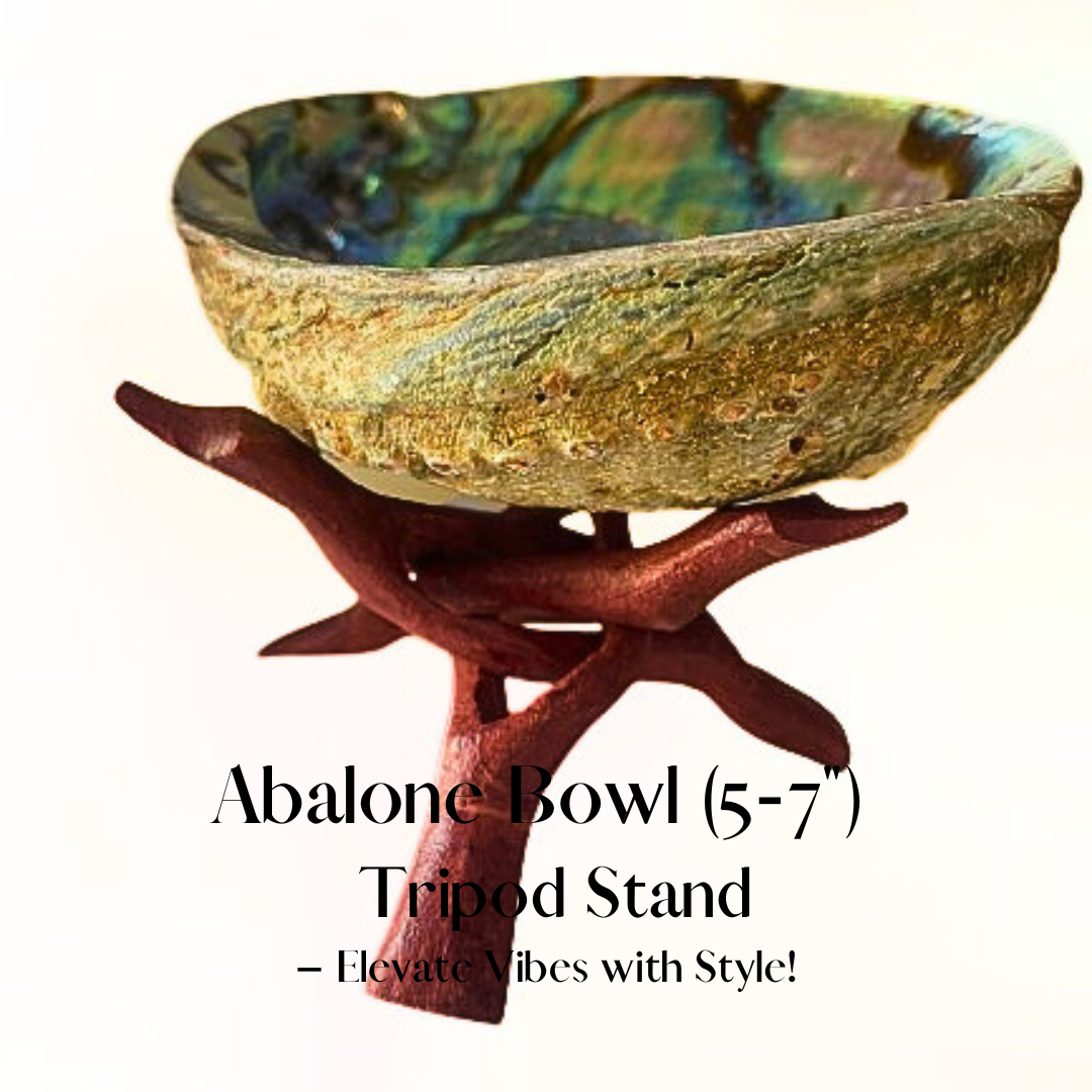 ✨ Abalone Smudge Bowl Set (2pc) with Wooden Tripod Stand - Sacred Space Essentials 🐚🕊️ #SpiritualRituals ✨