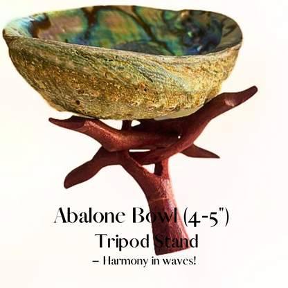 ✨ (2pc) Abalone Smudge Bowl Medium & Wooden Tripod Stand - Sacred Space Essentials ✨  ✨🐚🕊️