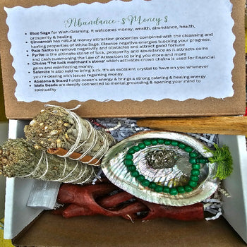 AbundanceMoneyMedKit