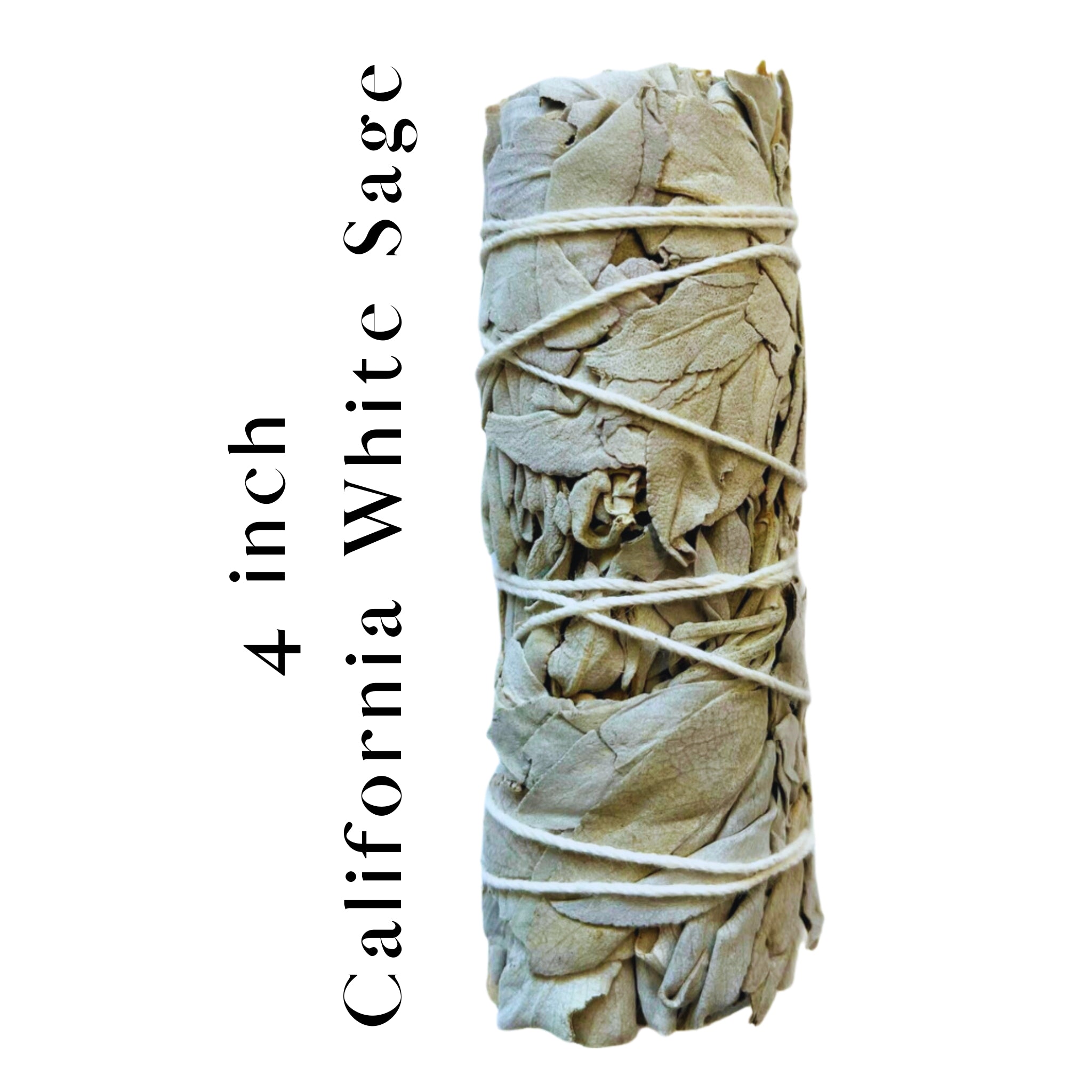 Wholesale 4″ California White Sage Smudge Sticks – Bulk Cleansing, Pur ... White sage smudge sticks near me