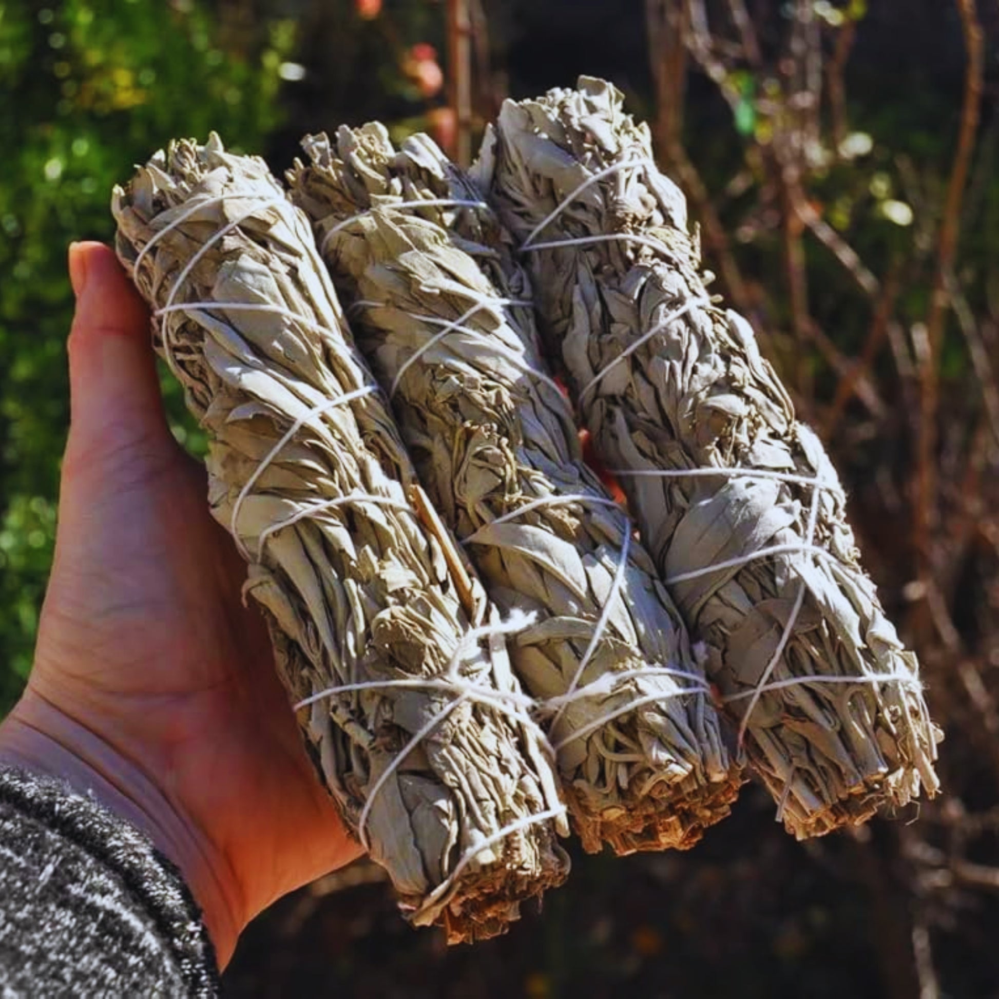 California White Sage 6" Smudge Sticks Bundle