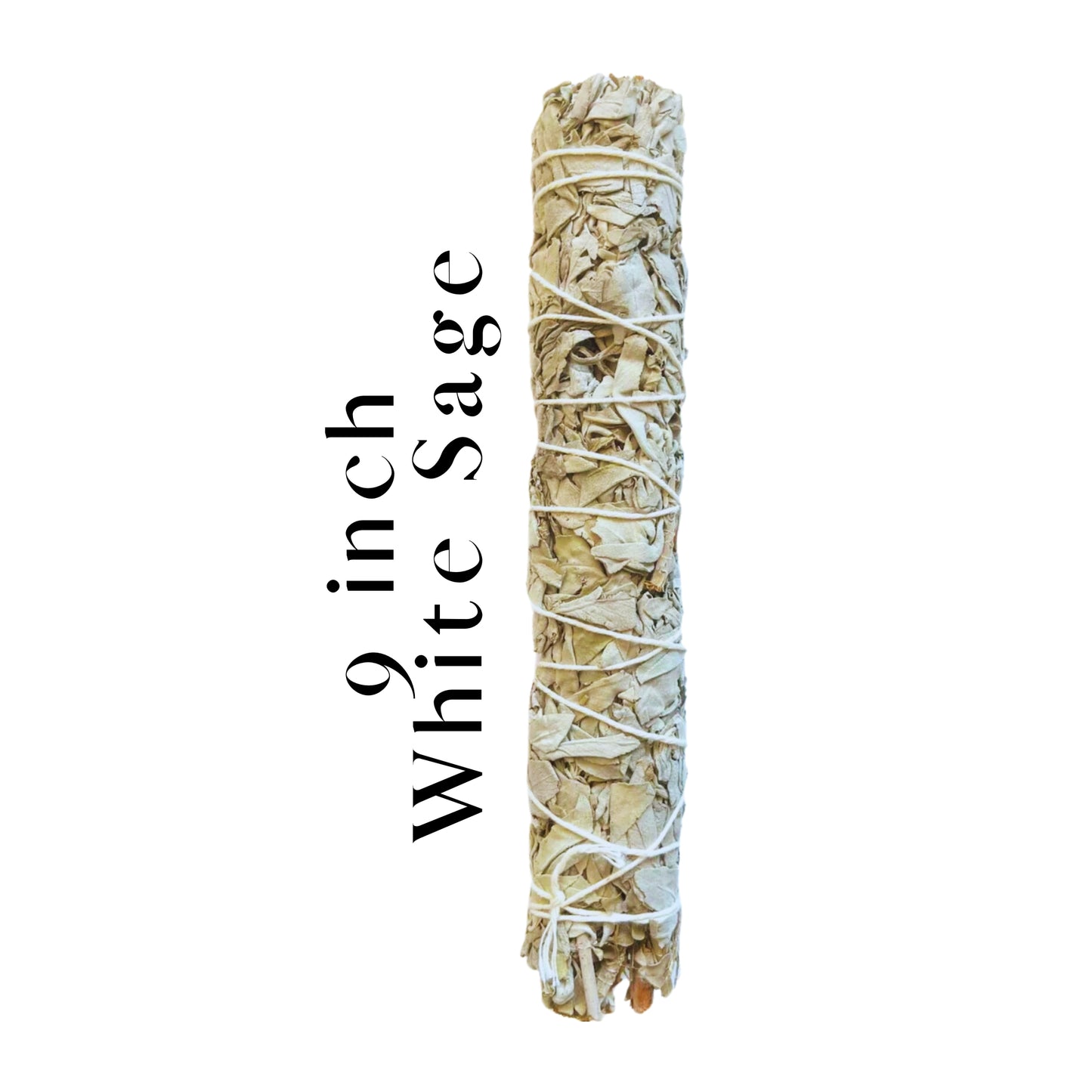 California White Sage 9" Smudge Sticks Bundle Purification Bliss