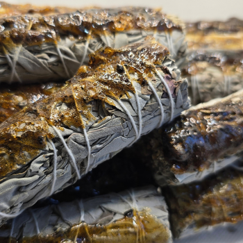 Wholesale 4" Copal Resin & White Sage Smudge Sticks – Bulk Sage Bundles