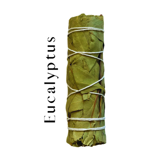 Eucalyptus Bliss Pure Herb 4"