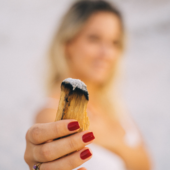 ✨🌿 Palo Santo (Holy Wood) 4" Sticks: Unlock Divine Tranquility and Sacred Aromatherapy! 🌿✨