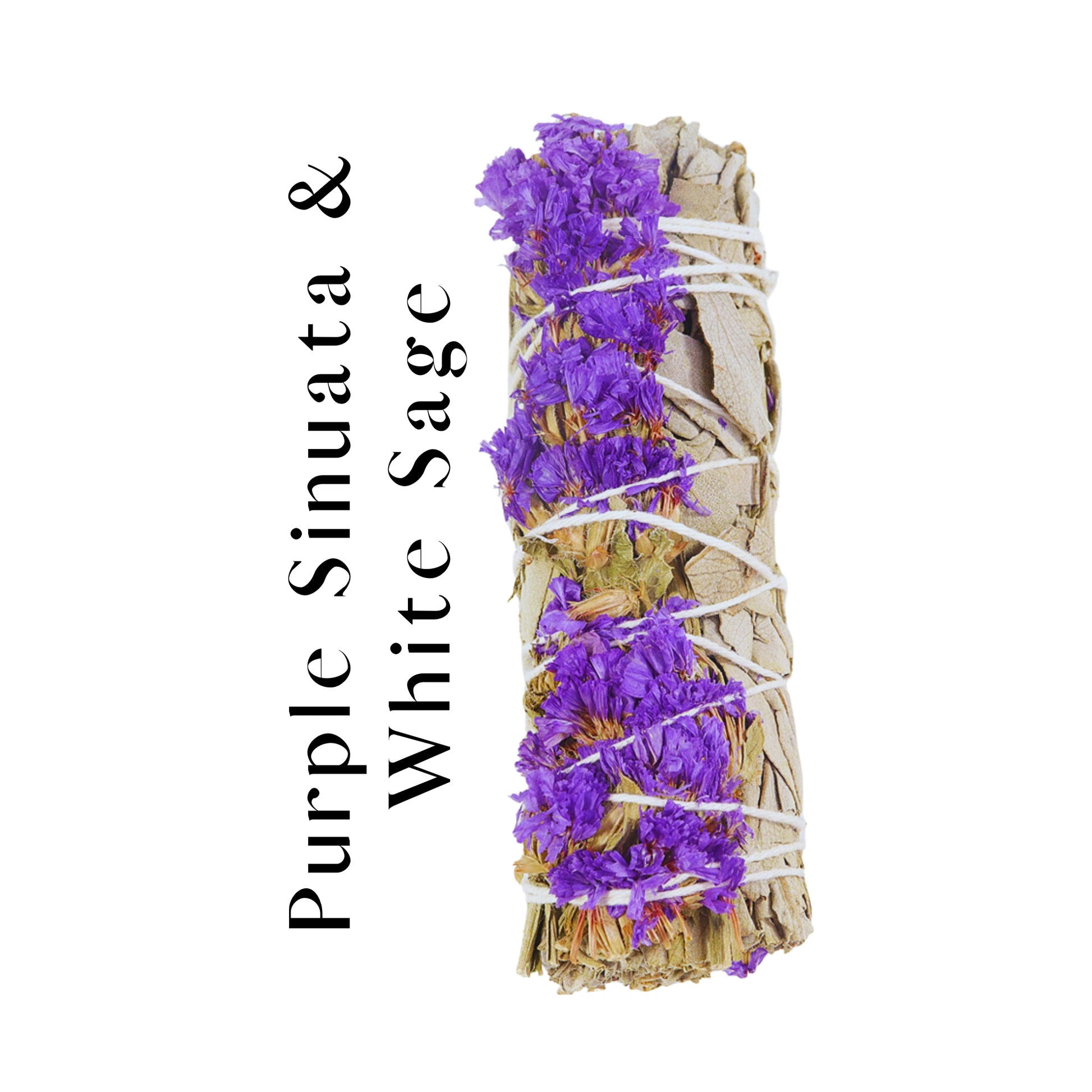 Purple Sinuata White Sage Smudge Stick Bundle A Harmony of Colors for Cleansing and Serenity!