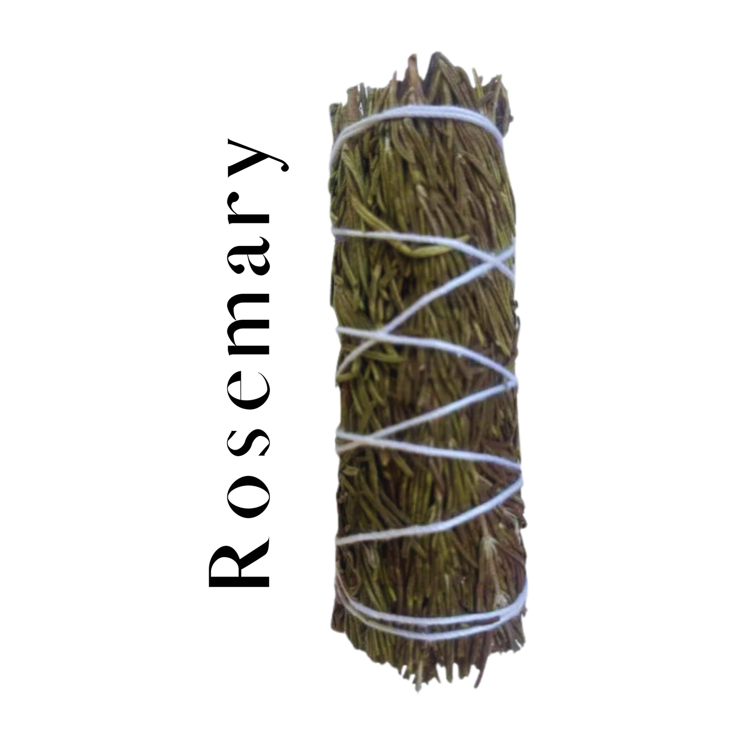 Rosemary Pure Herb 4"