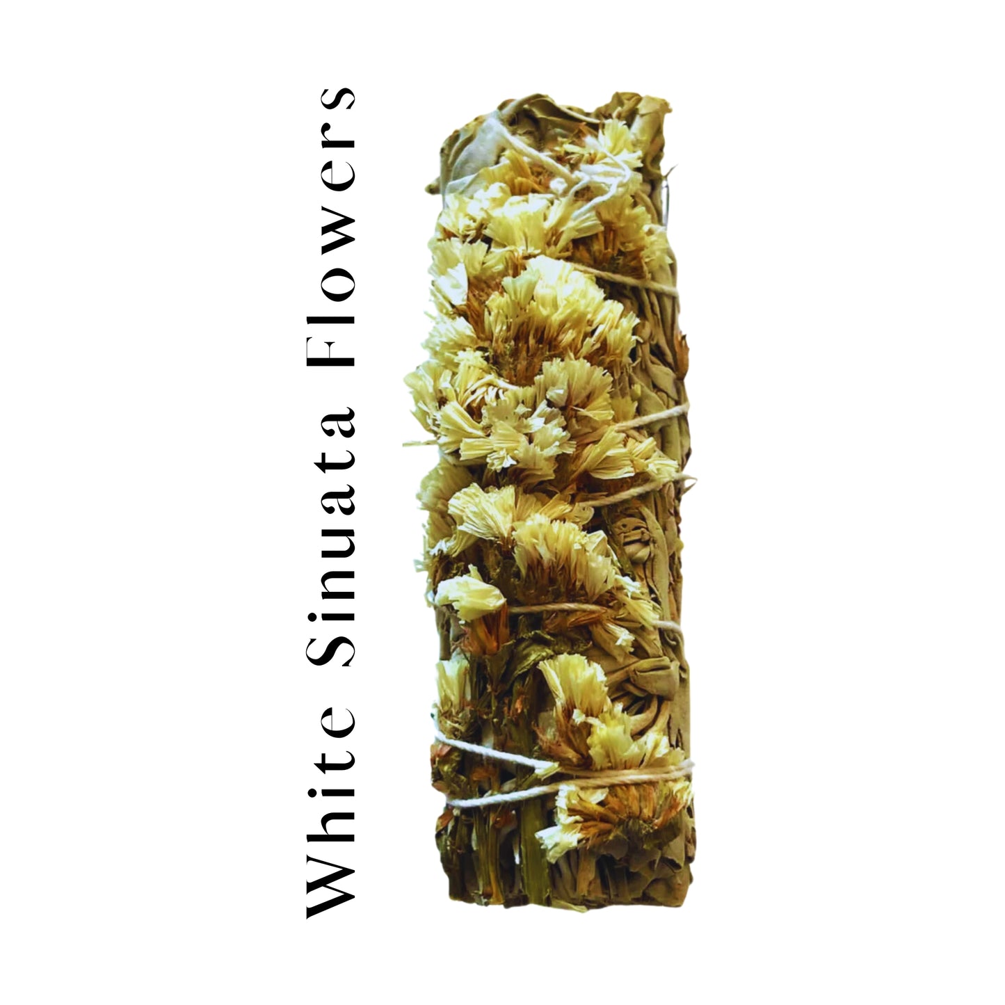 White Sinuata Flowers and White Sage 4" Smudge Sticks Bundle