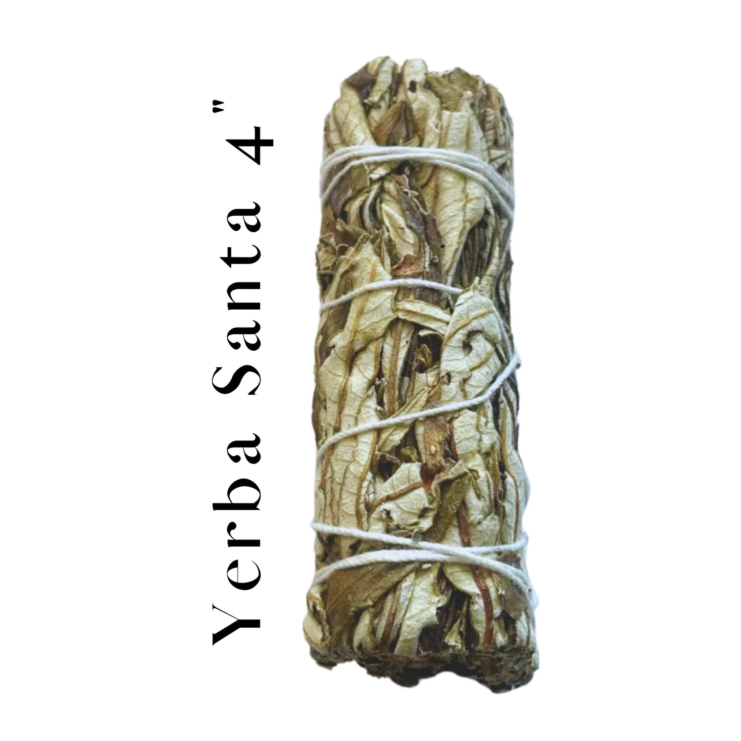 Yerba Santa Pure Herb 4" Smudge Sticks Bundle