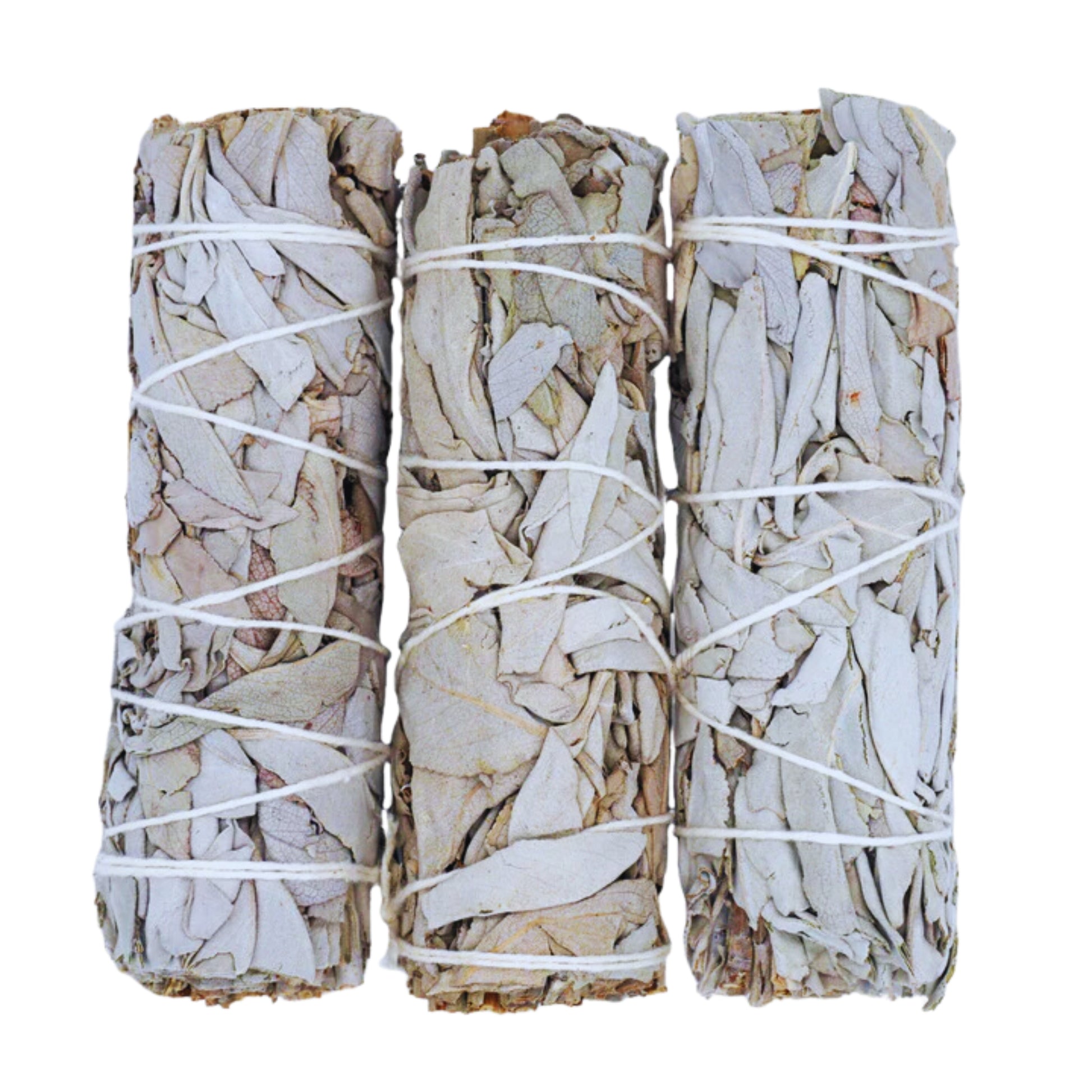 California White Sage 4 Bundled Smudge Sticks Purify and Uplift