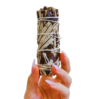 Yerba Santa Pure Herb 4" Smudge Sticks Bundle