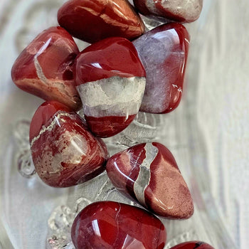 redjasper1
