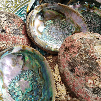 ✨ (2-pc) Abalone 4-5" Smudge Bowl Set with Wooden Tripod Stand – Sacred Space Essentials ✨